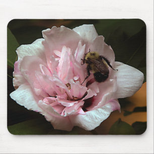 Hummel-Biene auf Rose von Sharron Blume Mousepad