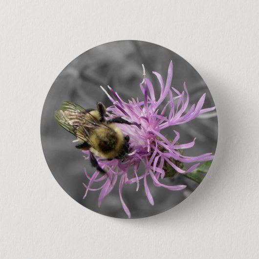 Hummel-Biene Button (Vorderseite)