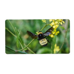 Hummel-Biene im Flug