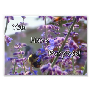 Hummel-Bienen-Foto haben Sie Zweck Fotodruck