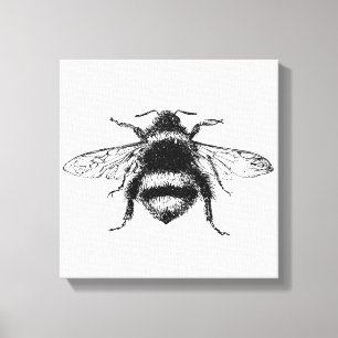 Hummel-Bienen-Leinwand-Druck Leinwanddruck