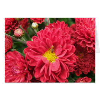 Hummel-Bienen-und rosa Blumen-leere Karte