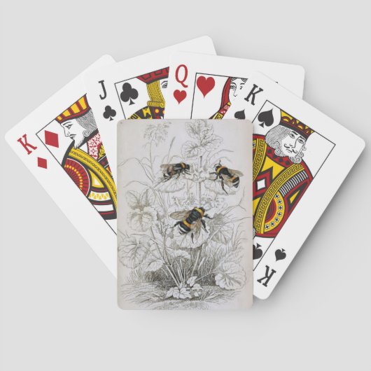 Hummel Botanisch Spielkarten (Rückseite)