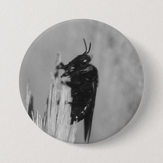 Hummel Button (Vorderseite)