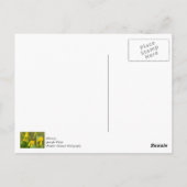 Hummel-Dankeschön-Postkarte Postkarte (Rückseite)