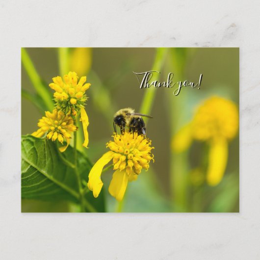Hummel-Dankeschön-Postkarte Postkarte (Vorderseite)