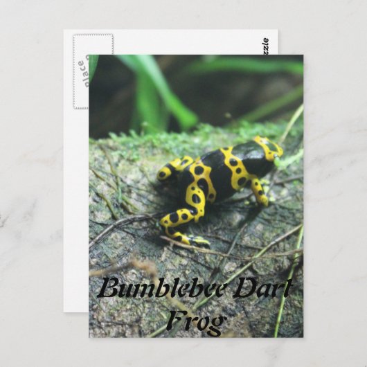 Hummel Dart Frog # 2 Postkarte (Vorne/Hinten)