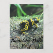 Hummel Dart Frog # 2 Postkarte (Vorderseite)