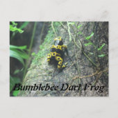 Hummel Dart Frog # 3 Postkarte (Vorderseite)