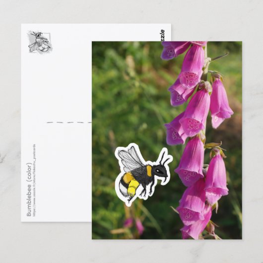 Hummel (Farbe) Postkarte (Vorne/Hinten)