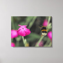 Hummel fliegt auf eine Blume zu Botanisches Foto