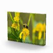 Hummel Fotoblock (Rechts)