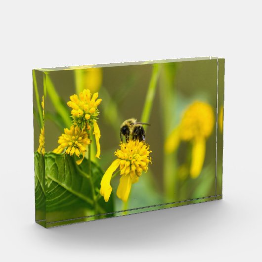 Hummel Fotoblock (Links)