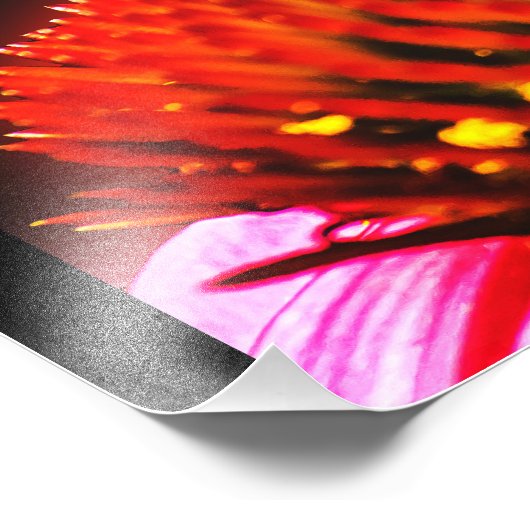 Hummel Fotodruck (Ecke)