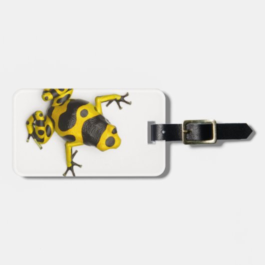 Hummel-Gift-Pfeil-Frosch Gepäckanhänger (Vorderseite horizontal)