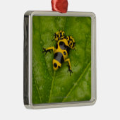 Hummel-Gift-Pfeil-Frosch Silbernes Ornament (Rechts)