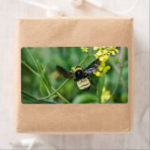 Hummel im Flug (Insitu)