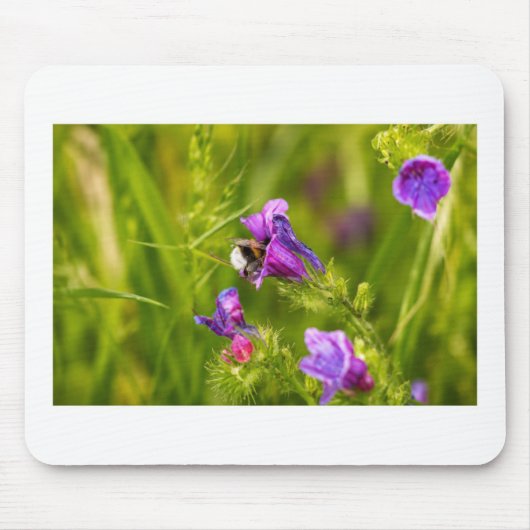Hummel in Blüte Mousepad (Vorne)