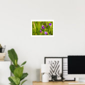Hummel in Blüte Poster (Heimbüro)