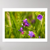 Hummel in Blüte Poster (Vorne)