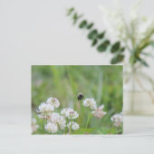 Hummel in der Klee Postkarte (Stehend Vorderseite)