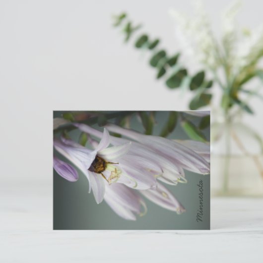 Hummel in Hosta Postkarte (Stehend Vorderseite)