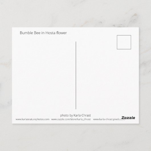 Hummel in Hosta Postkarte (Rückseite)