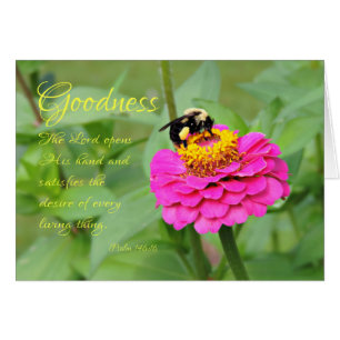 Hummel in rosaroter Zinnia In Gedanken an Dich Kar