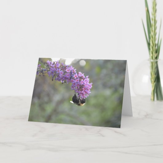 Hummel Karte (Vorderseite)