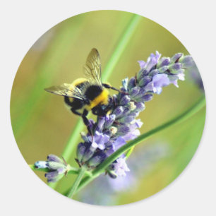Hummel & Lavendel Runder Aufkleber