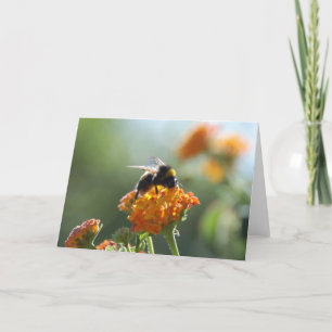 HUMMEL leere Anmerkungs-Karte Karte