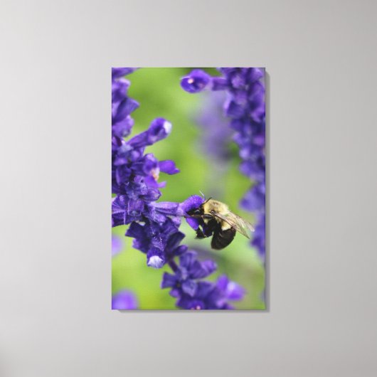 Hummel Leinwanddruck (Vorderseite)