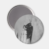 Hummel Magnet (Vorderseite/Rückseite)