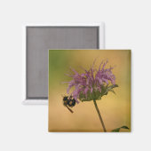 Hummel Magnet (Vorderseite/Rückseite)