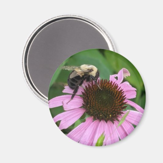 Hummel Magnet (Vorderseite/Rückseite)