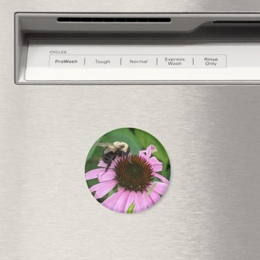 Hummel Magnet (In Situ (Geschirrspüler))