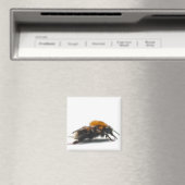 Hummel Magnet (In Situ (Geschirrspüler))