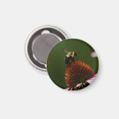 Hummel Magnet (Vorderseite/Rückseite)