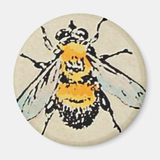 Hummel-Magnet Magnet (Vorne)