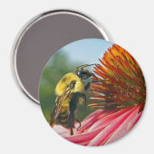 Hummel mit Himmelsherz Magnet (Vorderseite/Rückseite)