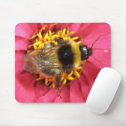 Hummel Mousepad (Mit Mouse)