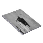 Hummel Notizblock (Rechte Seite)