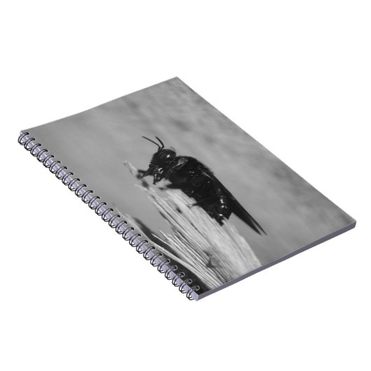 Hummel Notizblock (Rechte Seite)