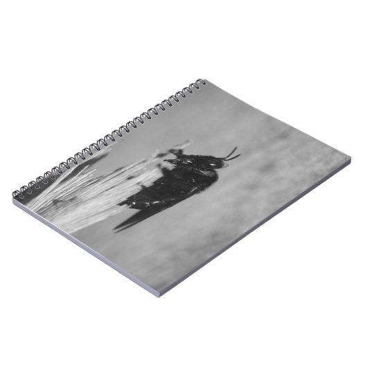 Hummel Notizblock (Linke Seite)