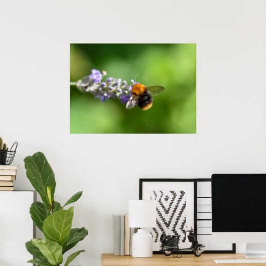 Hummel Poster (Heimbüro)