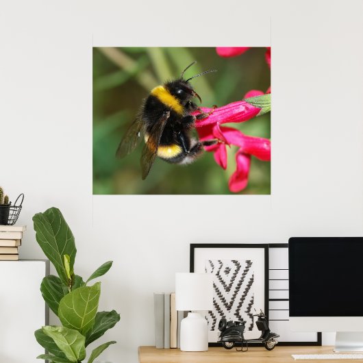 Hummel Poster (Heimbüro)