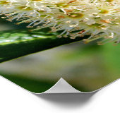 Hummel Poster (Ecke)