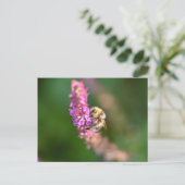 Hummel Postkarte (Stehend Vorderseite)