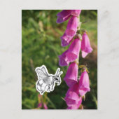 Hummel Postkarte (Vorderseite)