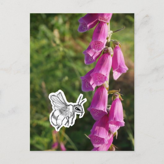 Hummel Postkarte (Vorderseite)